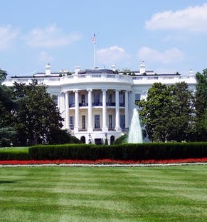 Politics upward trending